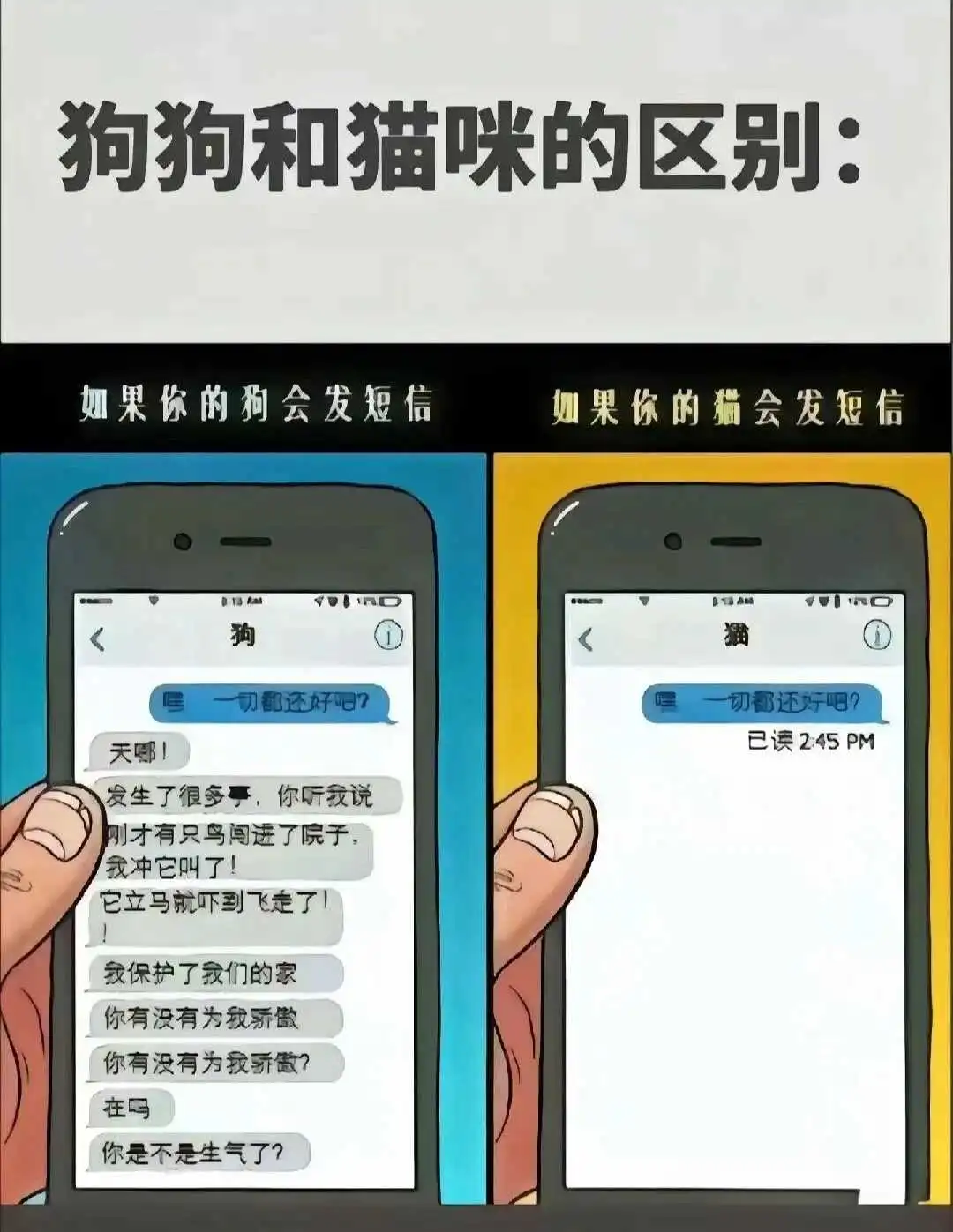 “你了解BDSM世界中的‘臣服’与‘统治’吗？” 一