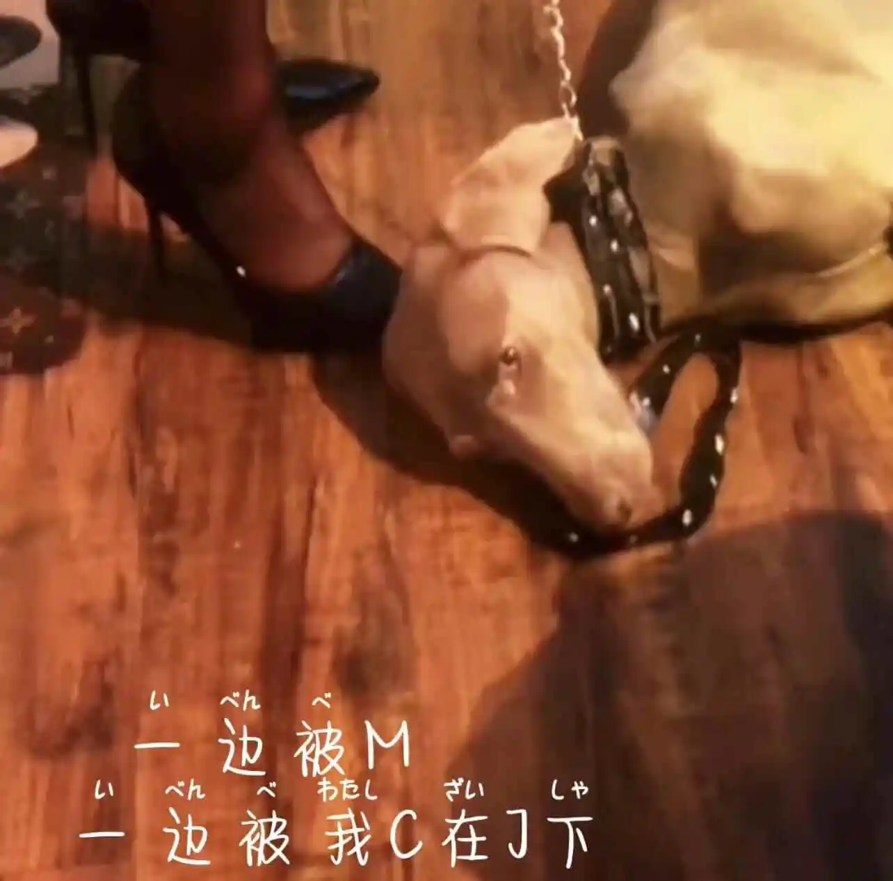 BDSM入圈,你准备好迎接女王的指引了吗? 一