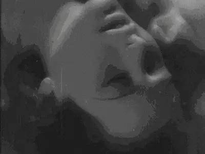k8猫系是什么?揭秘猫奴的秘密世界 一