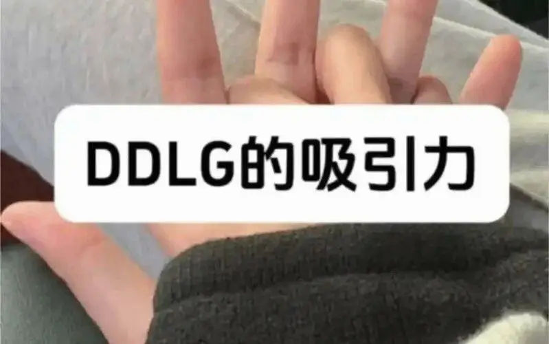 k9是什么？你了解它的真正含义吗？ 一