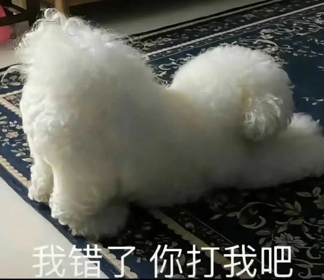 西檬之家字母圈里k9是什么? 一
