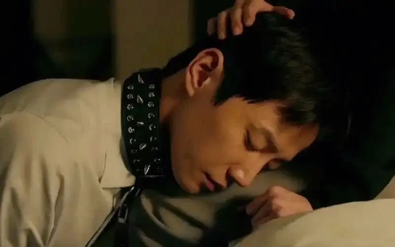 西檬之家BDSM新人如何入圈？ 一