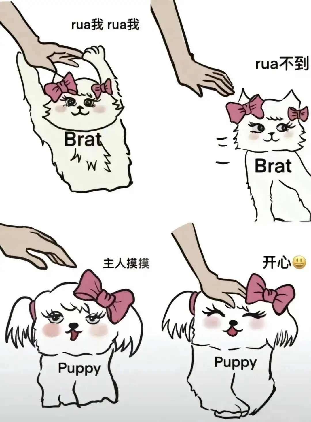 西檬之家k8猫系是什么？你的字母圈属性是什么 一