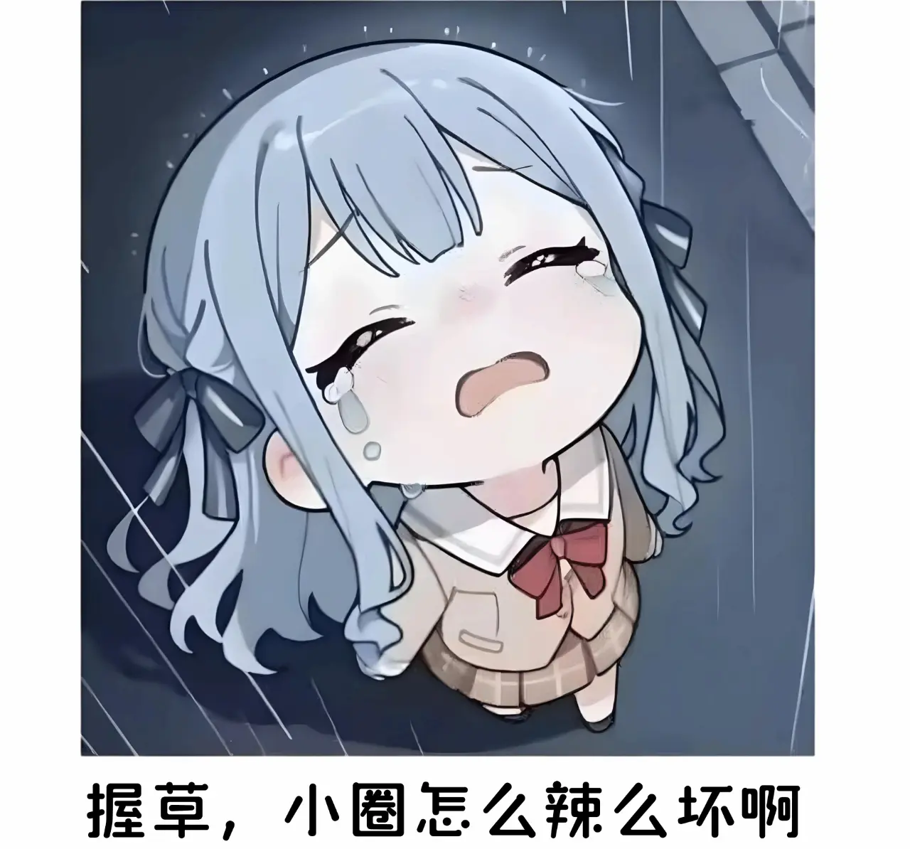 西檬之家Sub是什么？字母圈新人指南 一