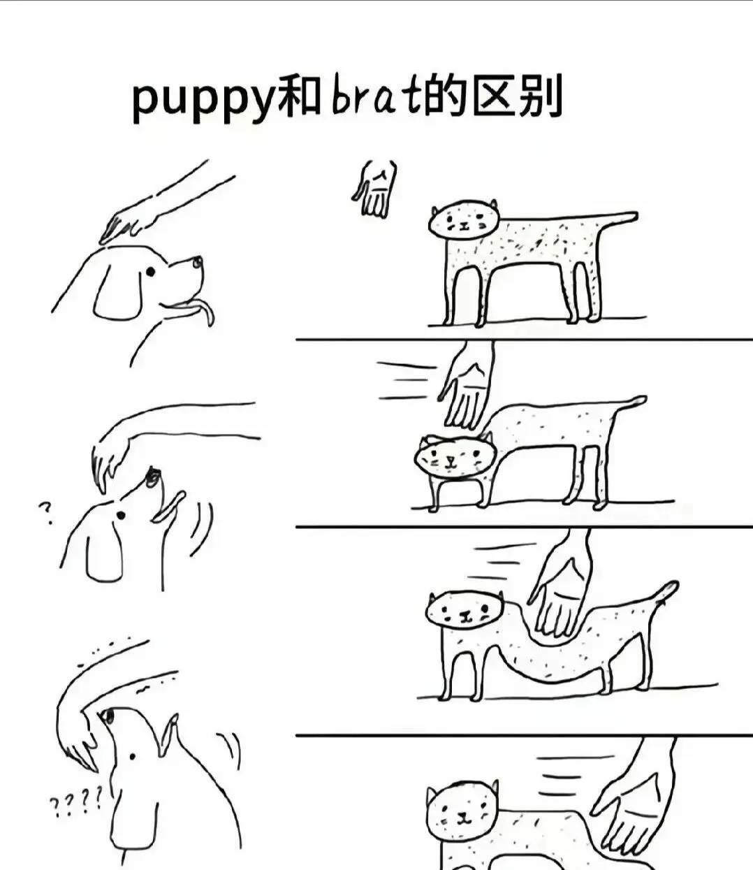 西檬之家DS关系是什么?Dominance and Submission深度解析 一