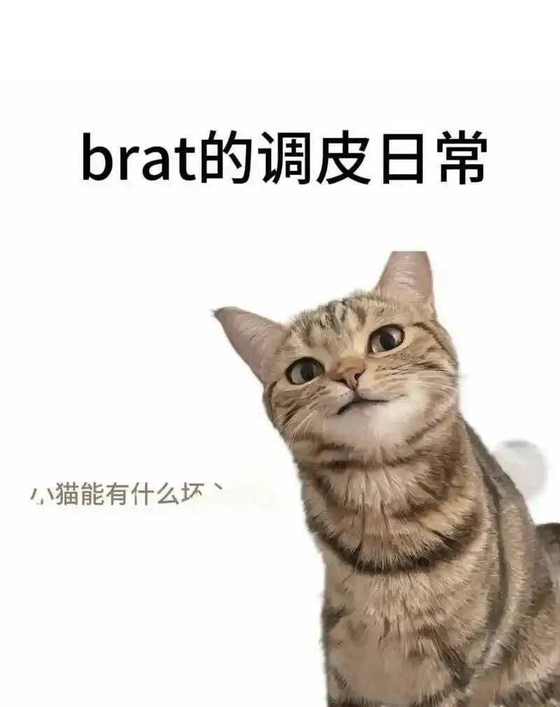 西檬之家k8是什么?字母圈K8和K9有啥区别 一