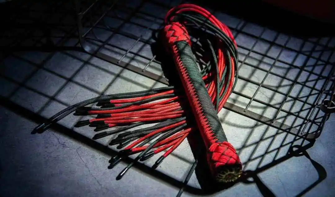 西檬之家K9是什么？ 一